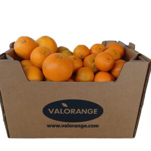 Caja mixta 10 kg