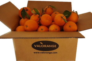 NARANJA NAVELINA 10 kg. Gastos de envío según cantidad. AGOTADAS