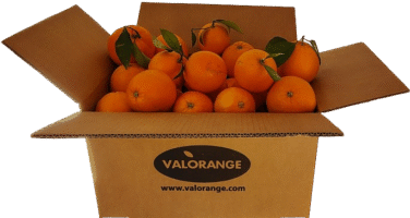 NARANJA NAVELINA 10 kg. Gastos de envío según cantidad. AGOTADAS