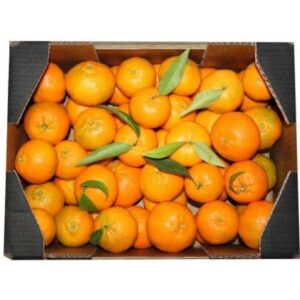 MANDARINAS CLEMENULES 5 kg. ENVÍO INCLUIDO. SOLO EN ESPAÑA. AGOTADAS