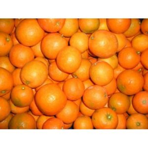 MANDARINA TARDÍA 5 kg. TRANSPORTE INCLUIDO. Sólo en España. AGOTADAS