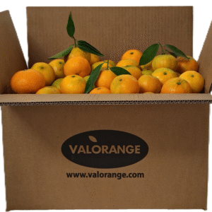 Caja clemenules 10 kg