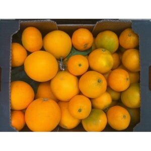 MIXTA NARANJA LANE LATE-MANDARINA TARDÍA 10 kg. Agotadas