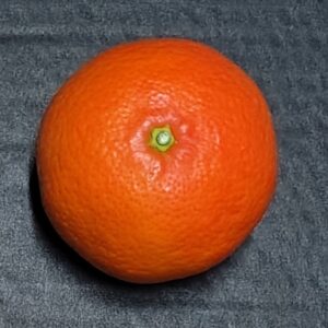 MANDARINAS CLEMENVILLAS 10 kg. AGOTADAS